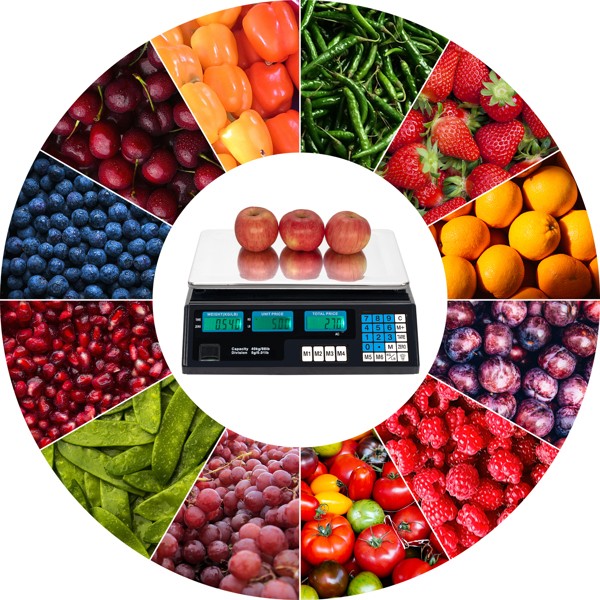 Digital Price Calculation Scale