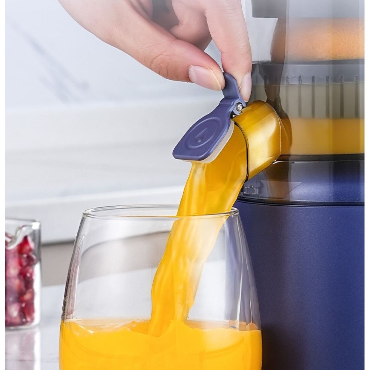 Juicer Mixer Extractors