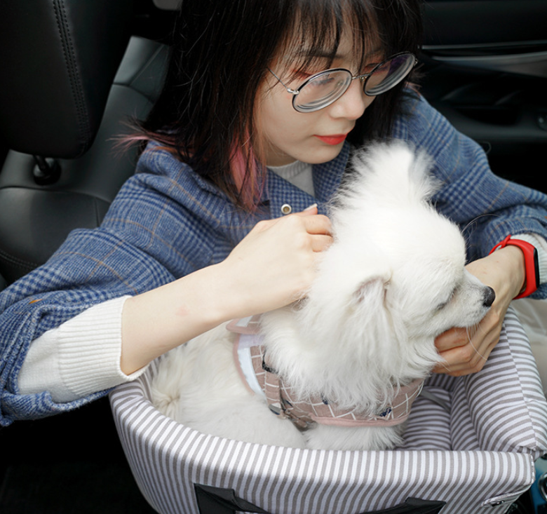Dog Central Control Car Seat