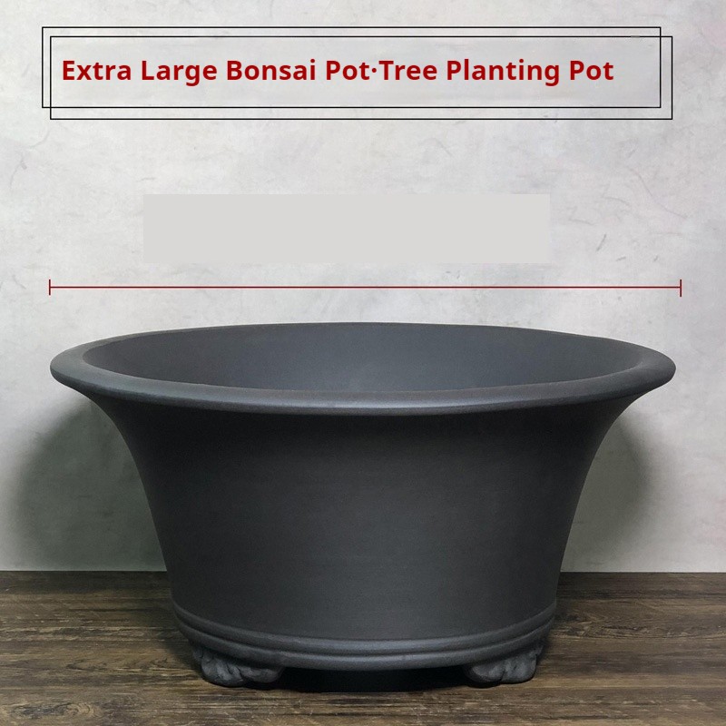 Purple Sand Flower Pot Extra Large