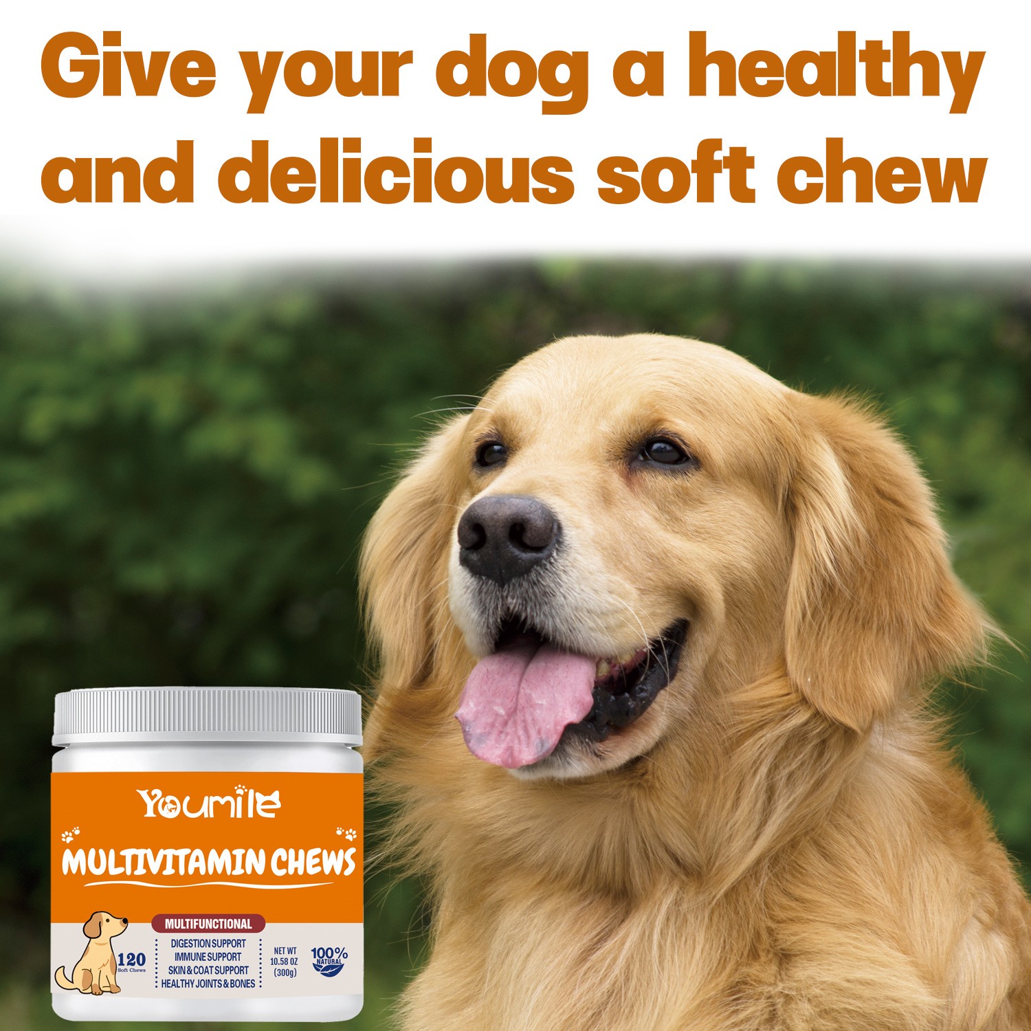 YourMite Multivitamin Chews  Healthy, Delicious Soft Chews for Dogs