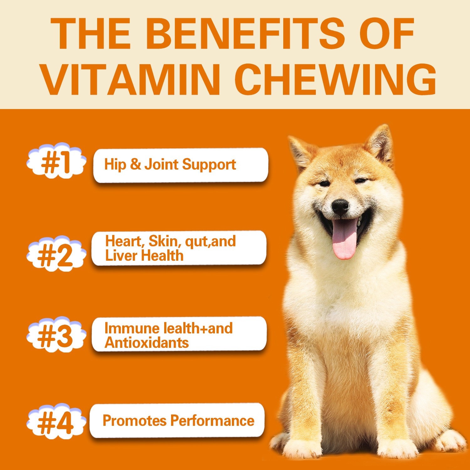 YourMite Multivitamin Chews  Healthy, Delicious Soft Chews for Dogs