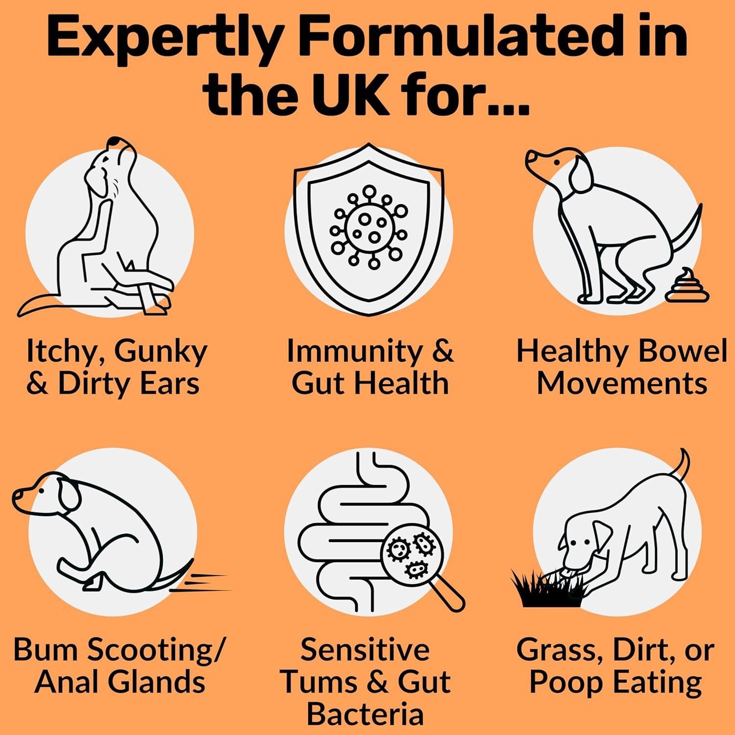 Pre, Pro & Post-Biotic Treats for Dogs