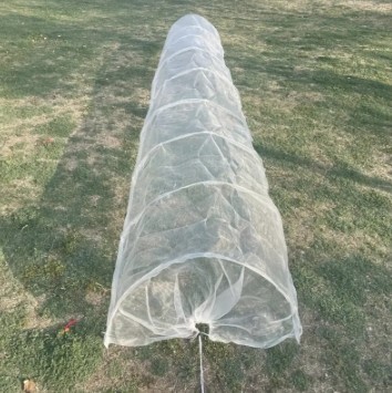Bug Netting