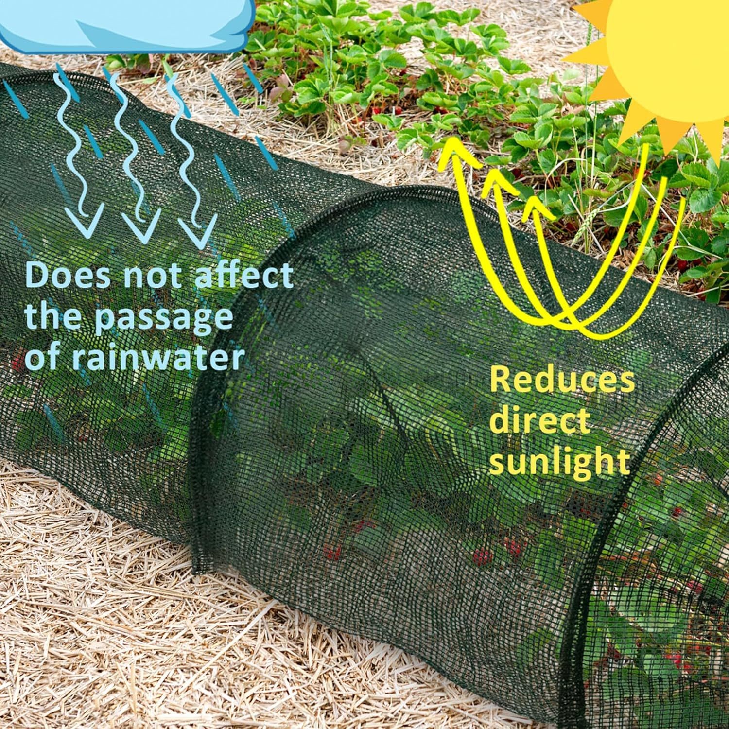 Garden Net Tunnel