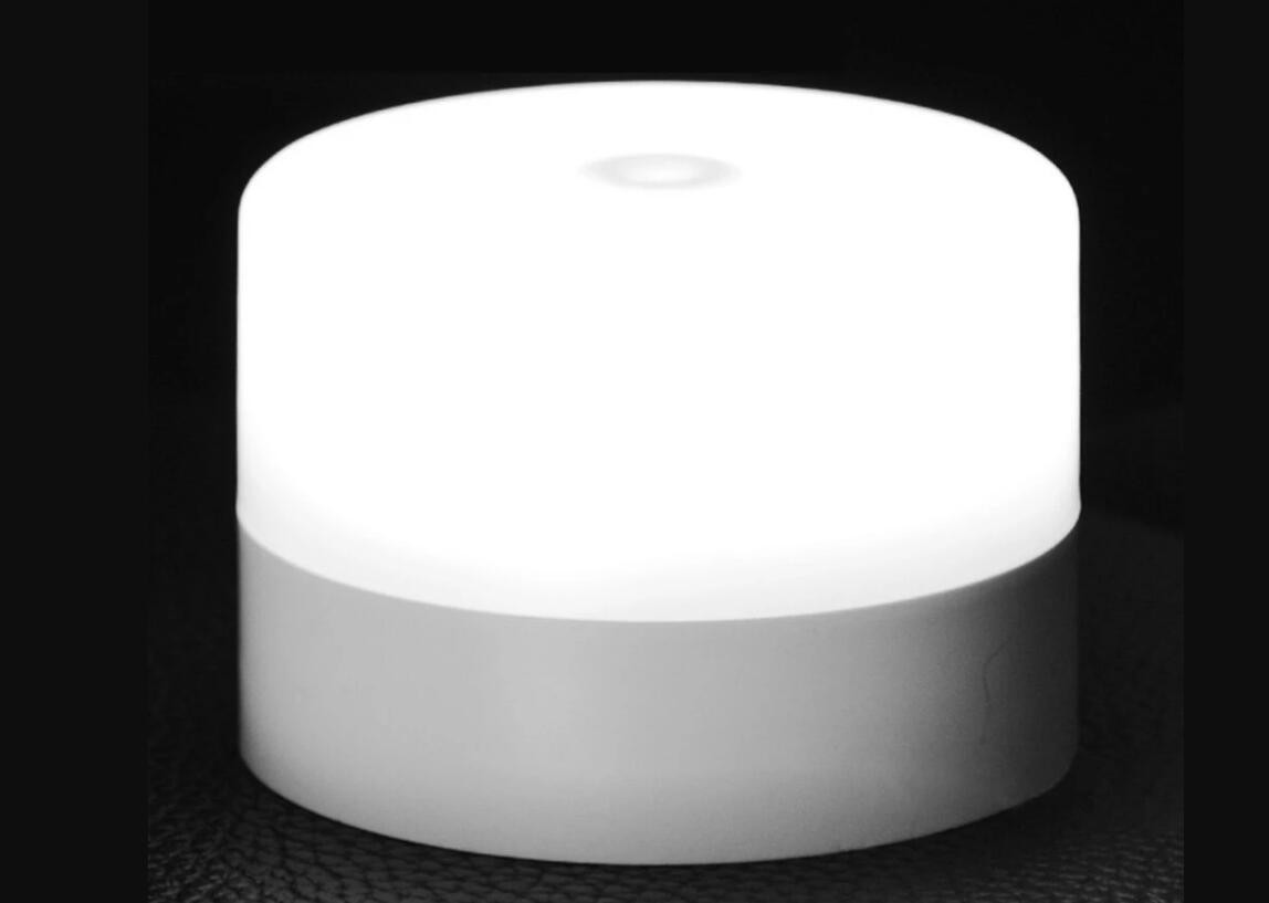 Portable Lamp