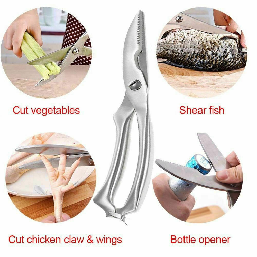 Poultry Chicken Bone