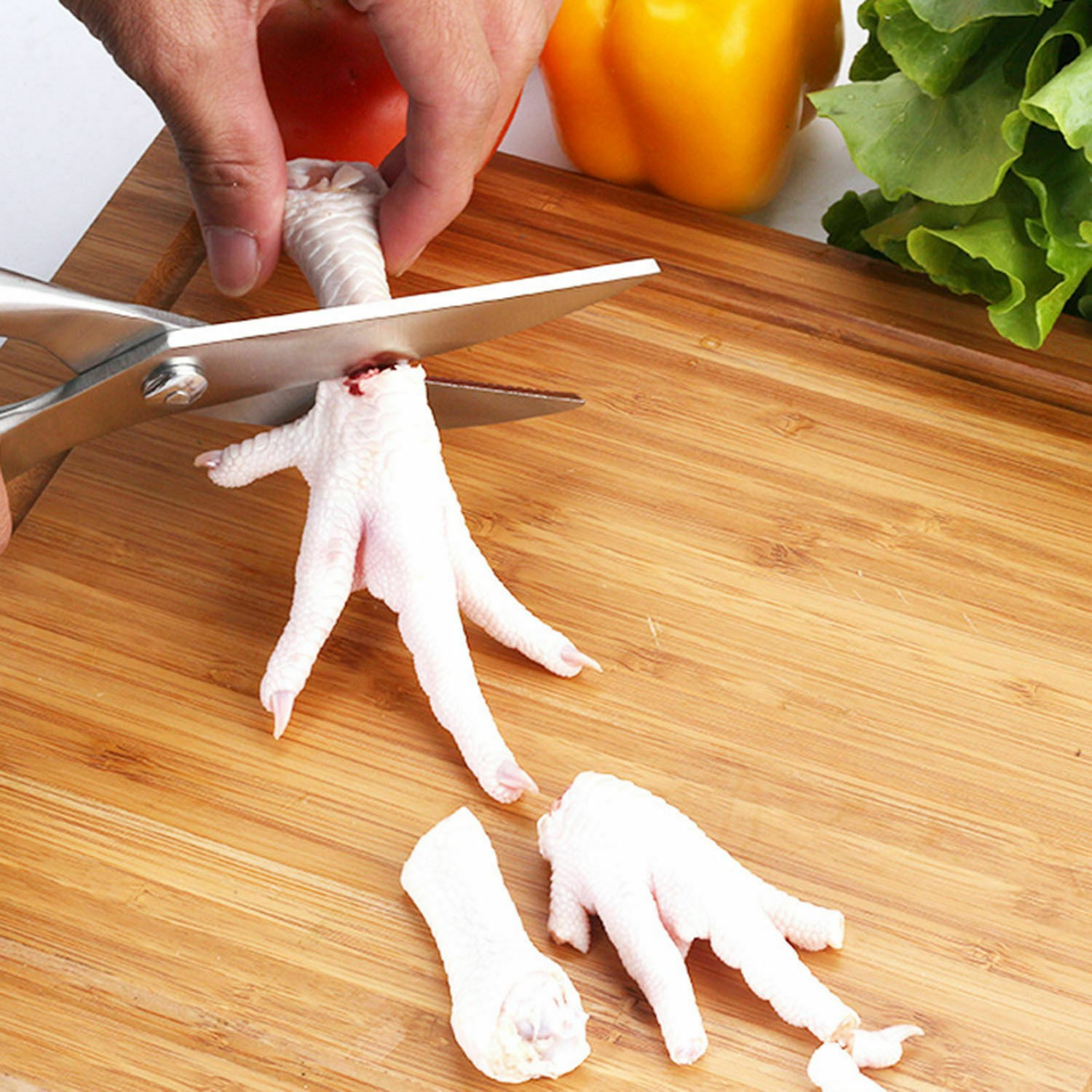 Poultry Chicken Bone