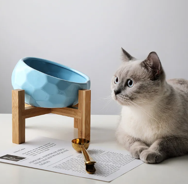 Pet bowl oblique mouth cat bowl food bowl dog bowl method bucket food bowl