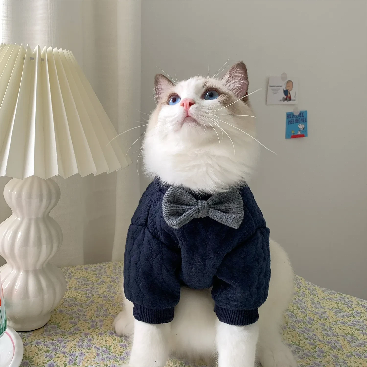 Warm And Cute Clothes For Pets Feet