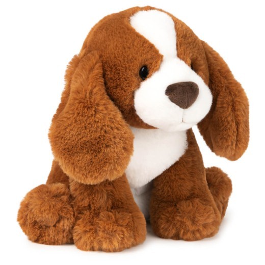 Dog : Spaniel Kian