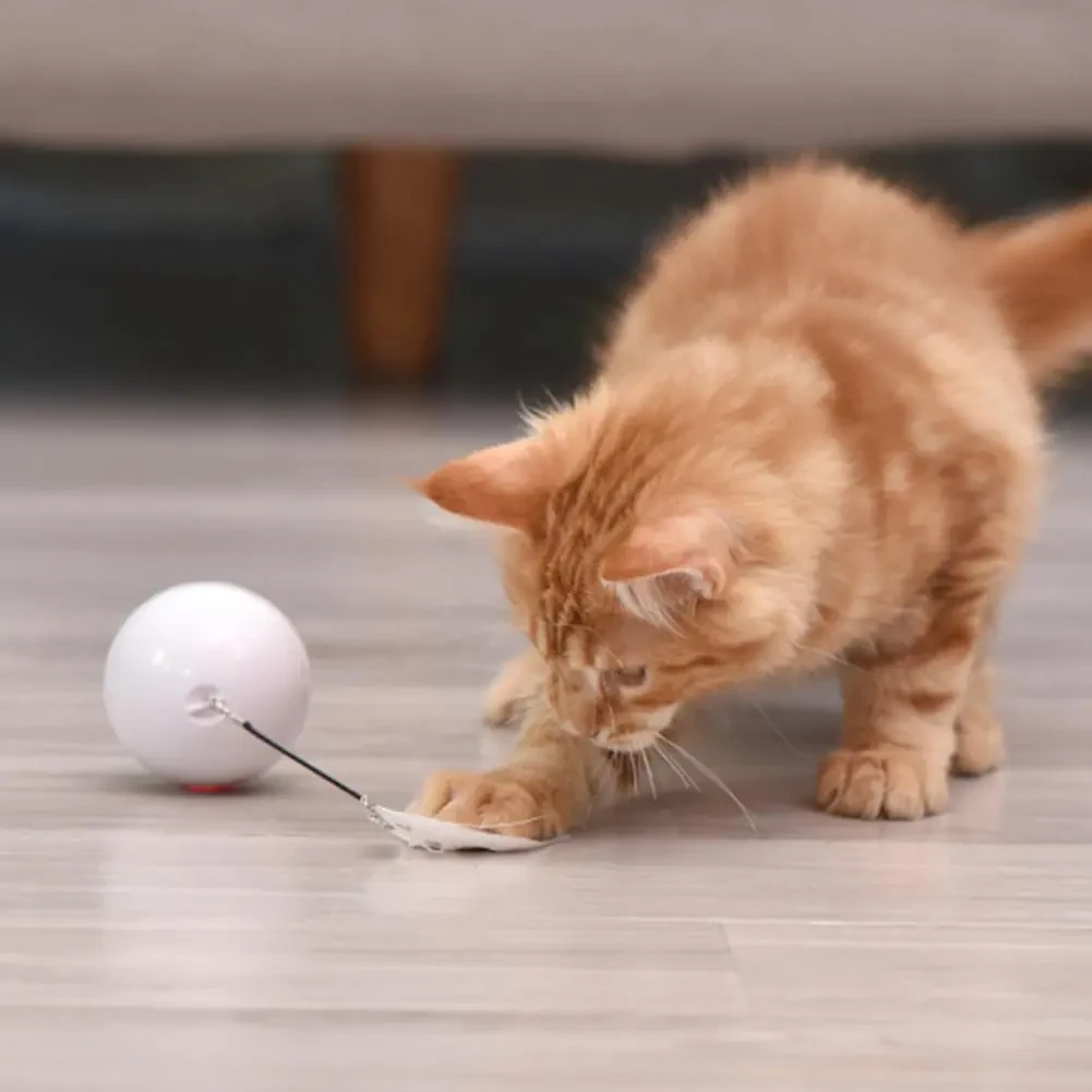 LED Laser Electronic Rolling Pet