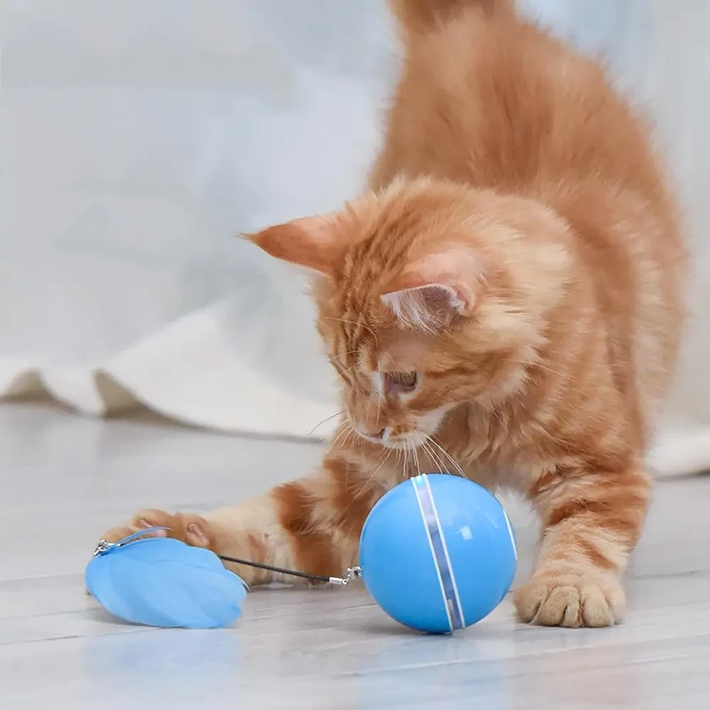 LED Laser Electronic Rolling Pet
