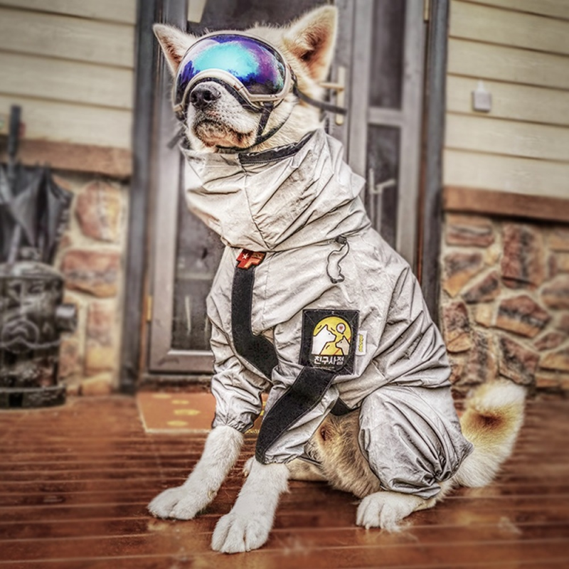 Dog Raincoat Pet Clothes Dog Clothes Rain Water