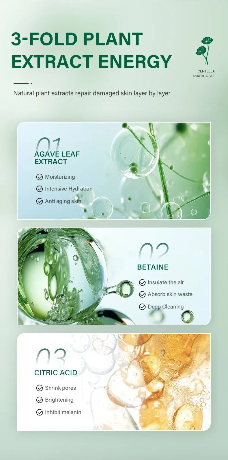 Grass Set Combination Facial Skincare Cosmetics
