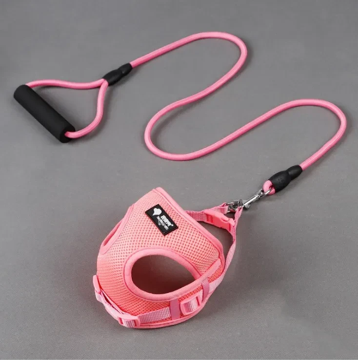 Dog leash and collar