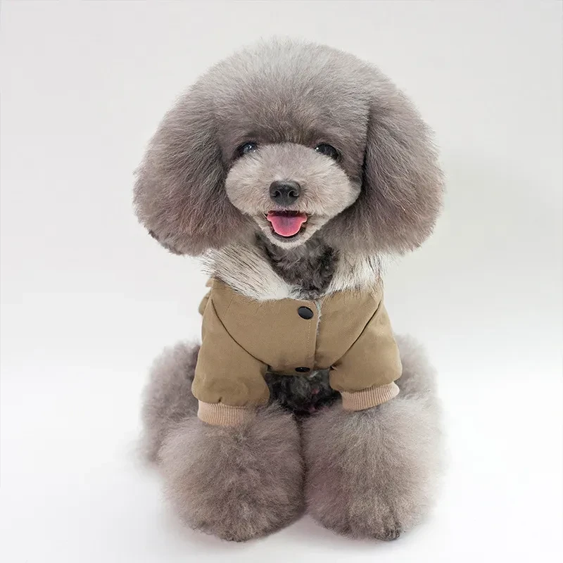 Cap dog coat