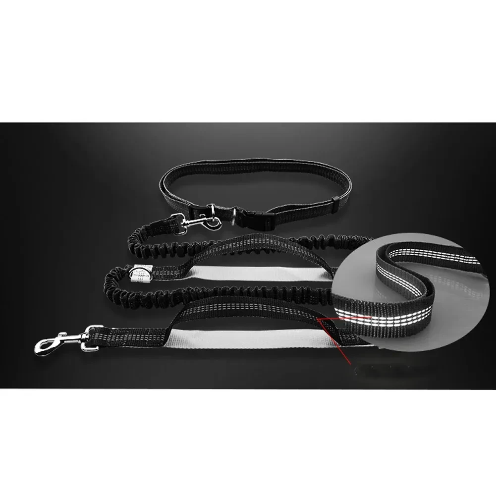 Pets running reflective pull dog leash double elastic