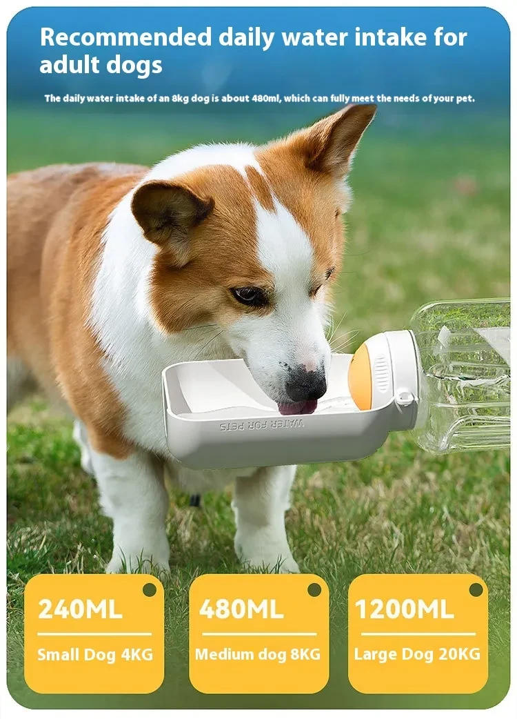 Dog Large Capacity Pets Out Drinking