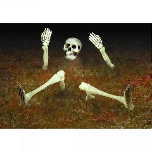 Skeleton Yard Groundbreaker Decoration Plastic - Pack of 9