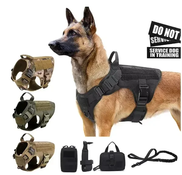 Pet Harness Luxury Dog Leash Set