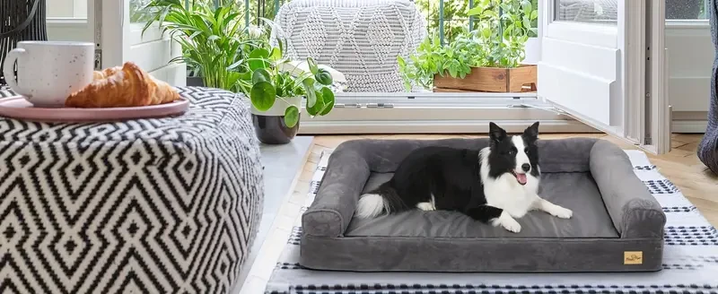Extra Large Dog Sofa Bed Memory Foam Calming Orthopedic Pet Mattress Cushion Waterproof Bolster Dog Couch Bedding with Pillow and Removable Washable Cover Grey