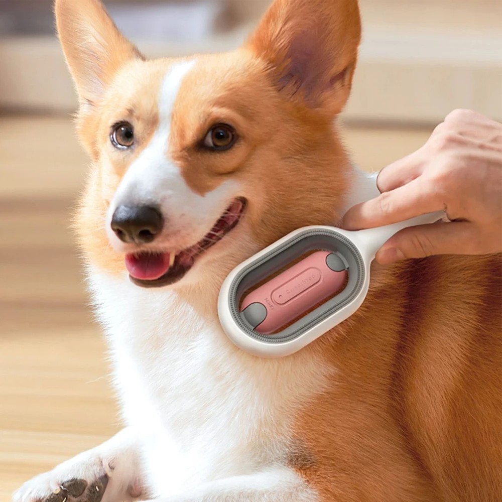 Wet Pet Brush with Water Tank