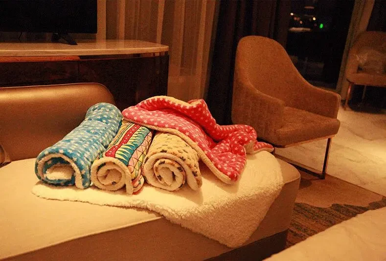 Cute Pet Blanket Mat