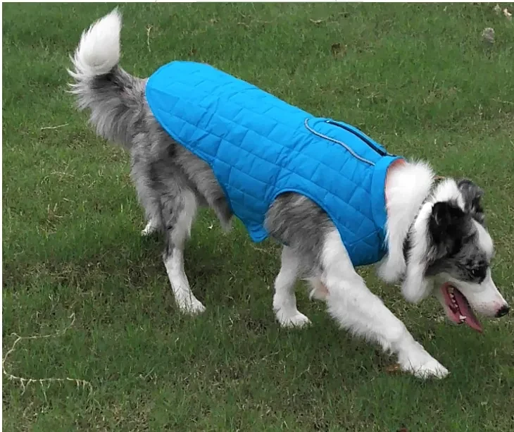 Dog Clothes French Dog Jacket Winter Pet Clothing Waterproof Reflective Coat Ropa Para Perro For Small Medium Large Big Dogs