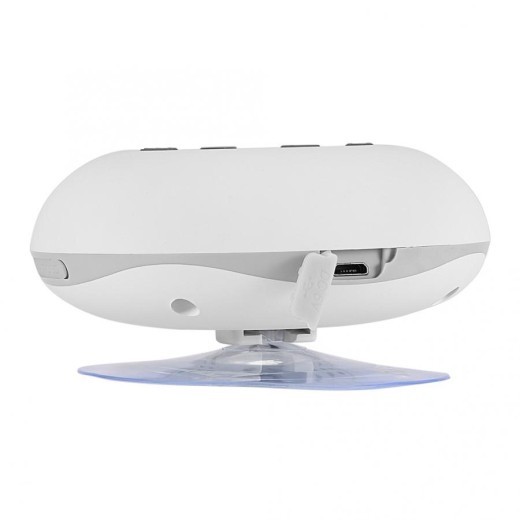 Bluetooth Speaker in Bathroom