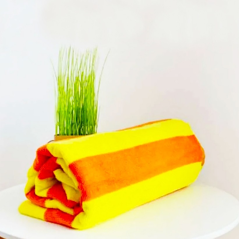 Adult Hotel Towel Jumbo Pool Towel is a Jumbo Hotel Towel Export Quality 100% cotton Anti Bacterial towelcp