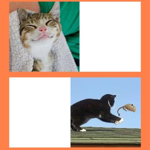 Funny Cat Toy Mint Mouse Amazon Cat Supplies