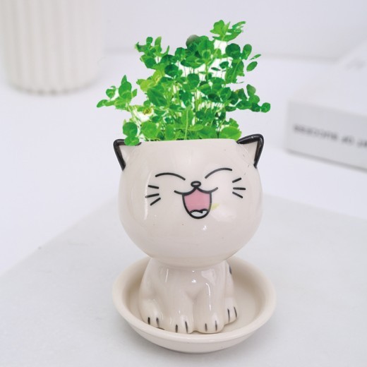 White Ceramic Cartoon Cat Cute Expression Cat Decoration