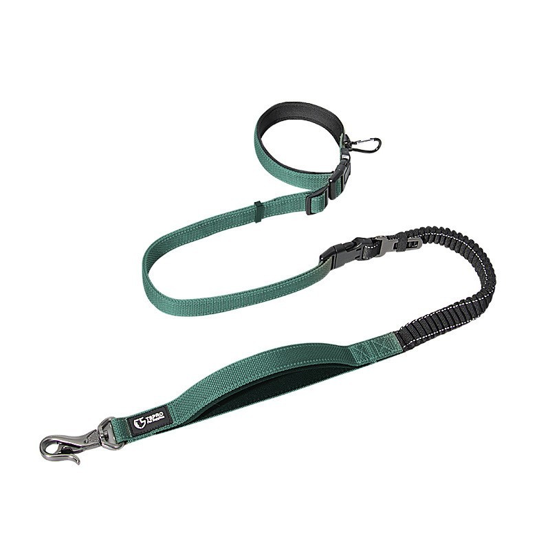 Roamer Bungee Dog Leash Stretch Webbing Hands-Free Leash