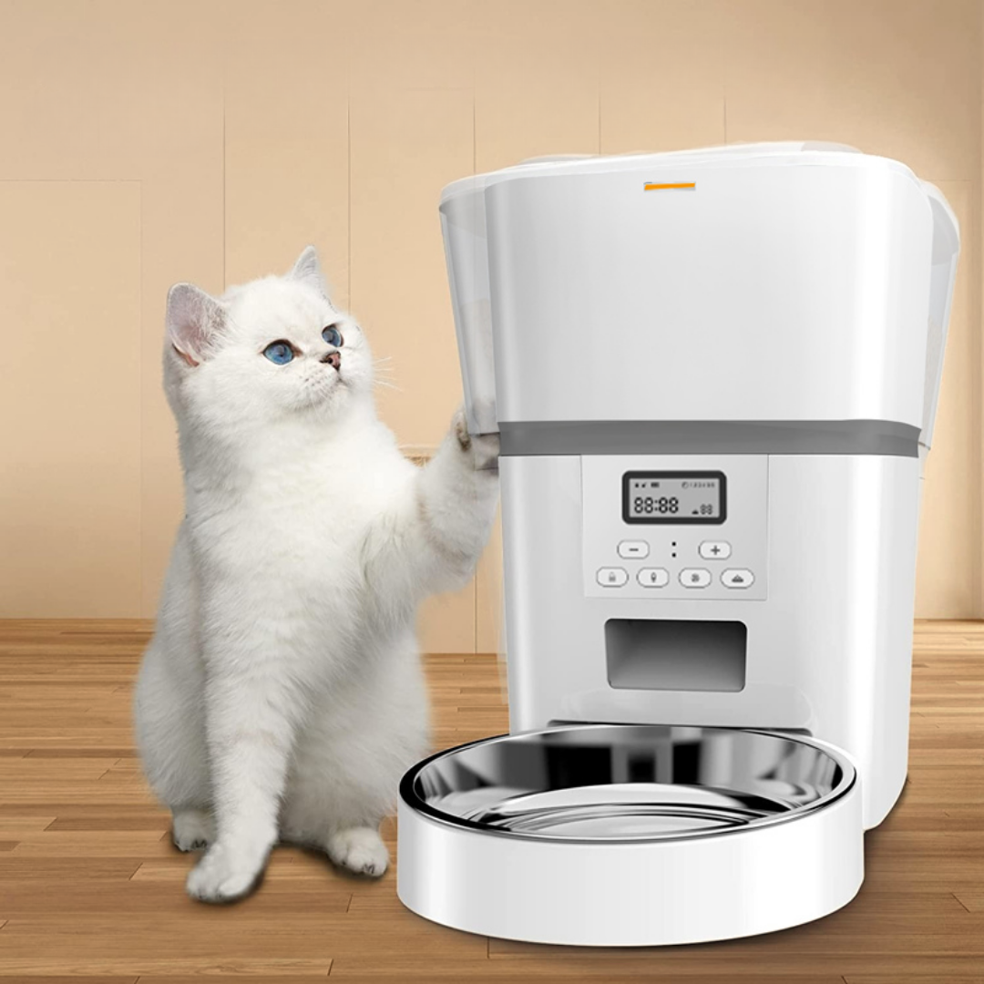 The KittyFeeder Automatic Cat Feeder
