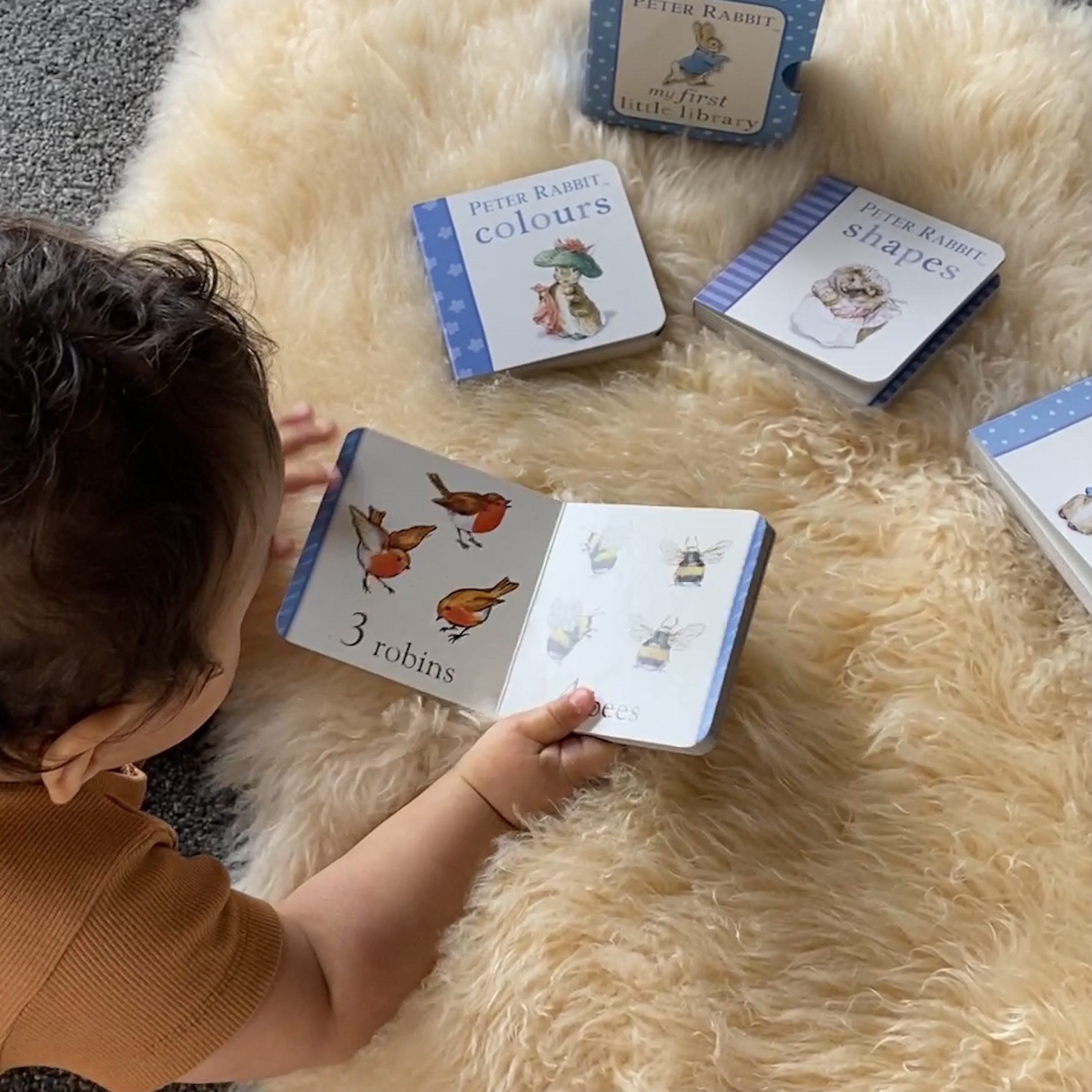 Peter Rabbit | Box Of Small Books