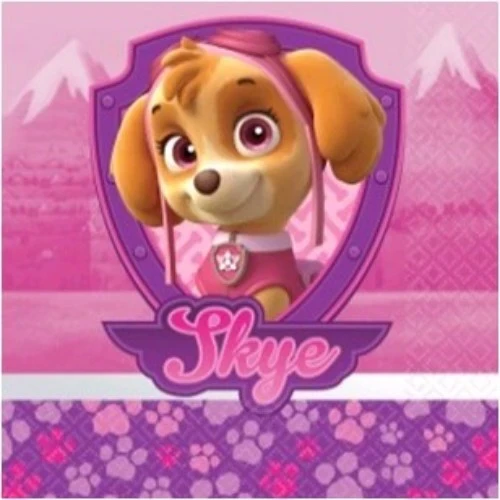 Paw Patrol Adventures Beverage Napkins - (Pack of 16)