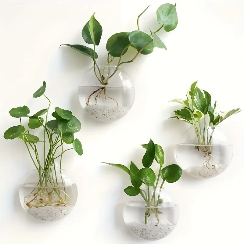Creative Wall Hanging Green Radish Hydroponic Glass Vase
