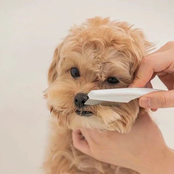 DrPaws Flea Comb