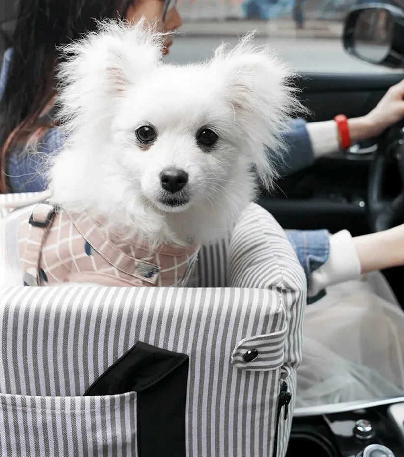 CarCrate Pet Booster Seat