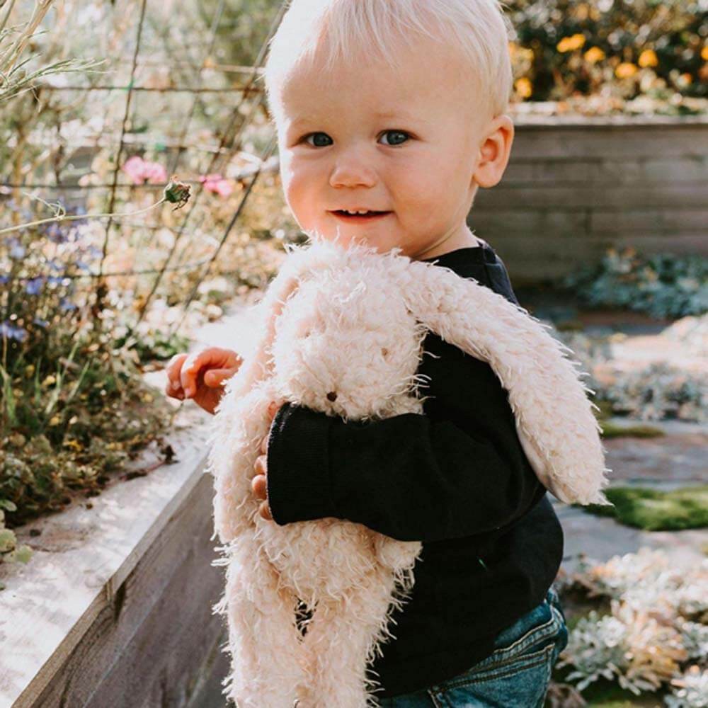 Harey The Bunny Rabbit