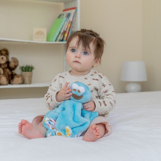 Sesame Street Cookie Monster Comfort Blanket