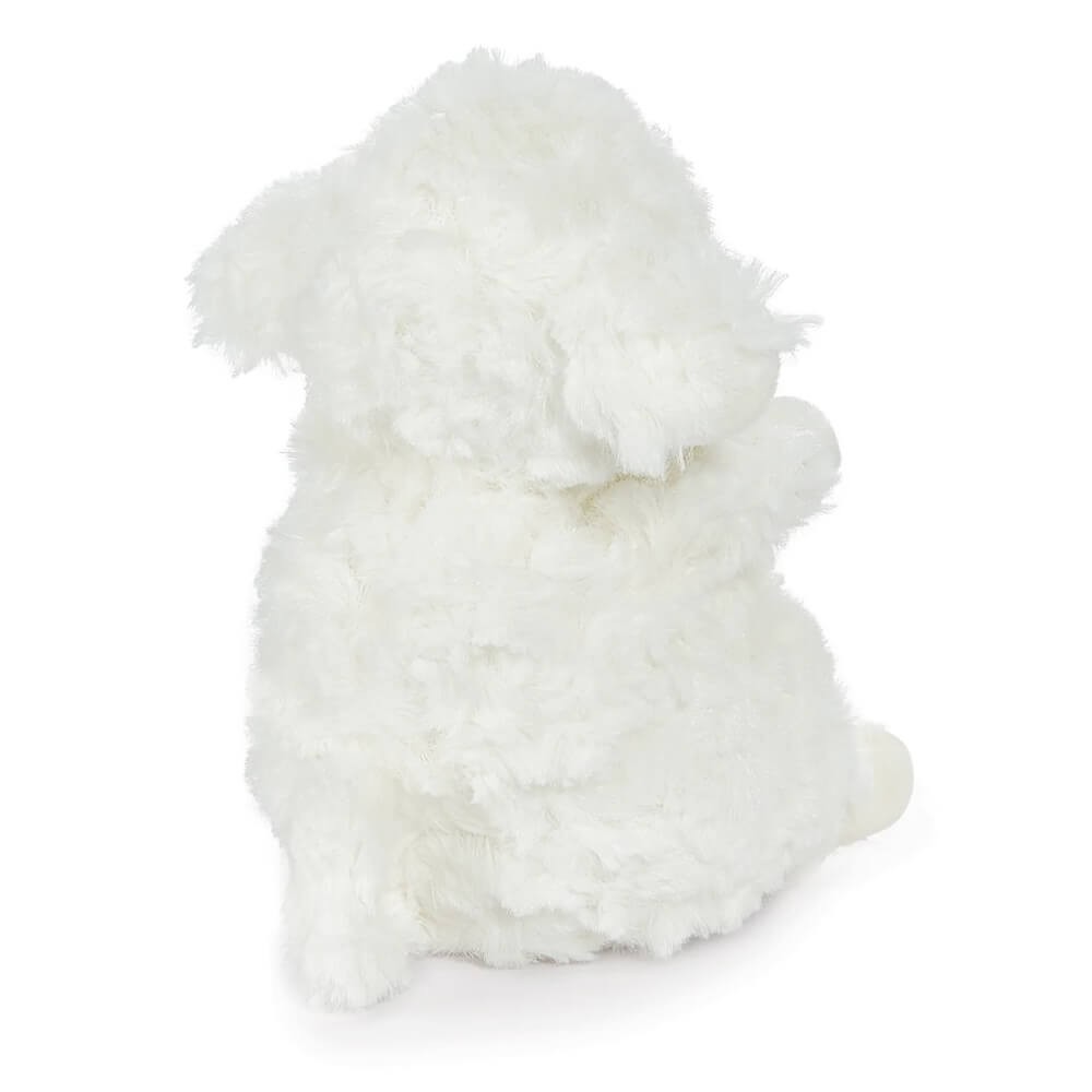 Wee Kiddo The Lamb
