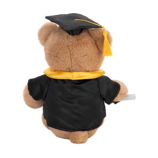 With Heart Graduation Bear With Scroll- Large