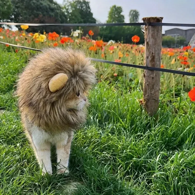 Adorable Lion Mane Costume for Cats Durable and Comfy