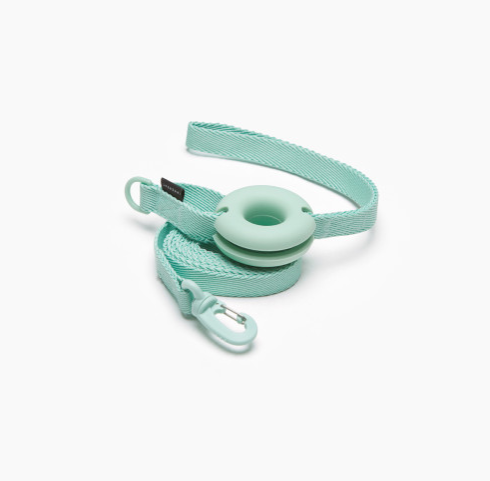 Pet Leash Macaron Ins Wind