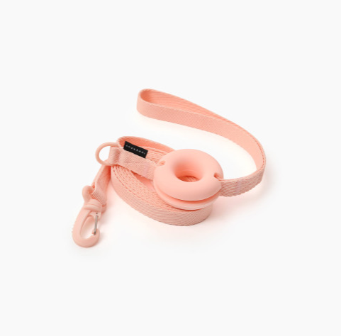 Pet Leash Macaron Ins Wind