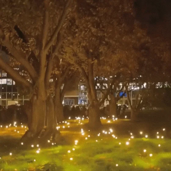 Solar Powered Firefly Garden Light