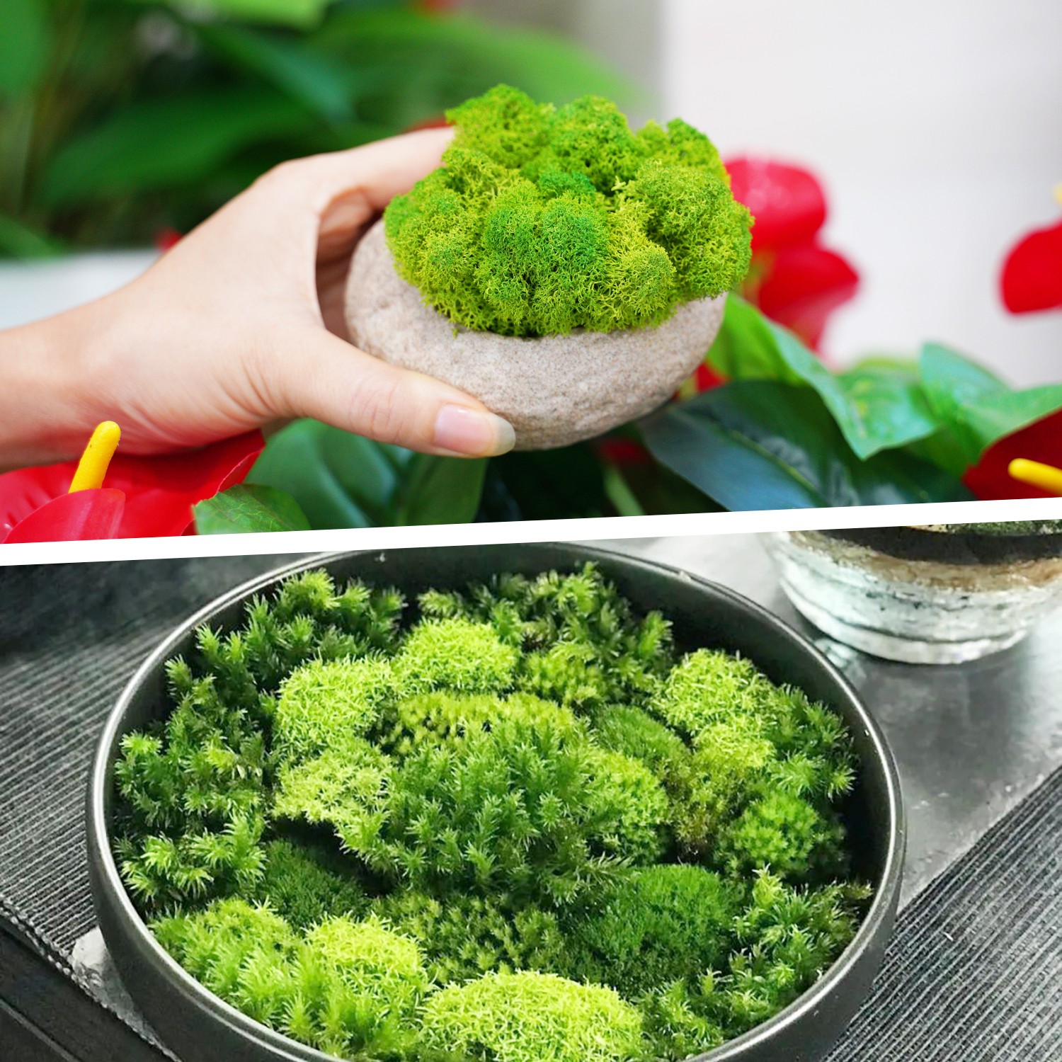 Artificial Green Plants Eternal Life Moss