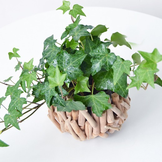 Creative Vase Decoration Light Luxury Home Table Office